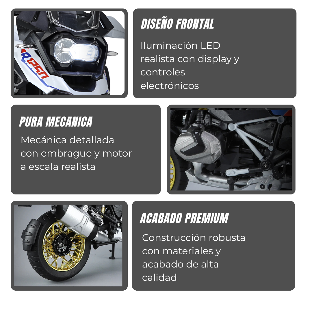 1:9 R1250GS - Ashriders™