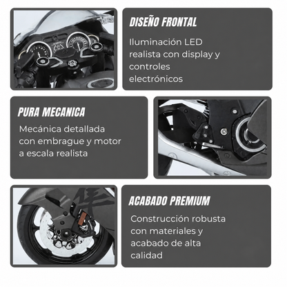 1:9 Hayabusa GSX 1300 - Ashriders™